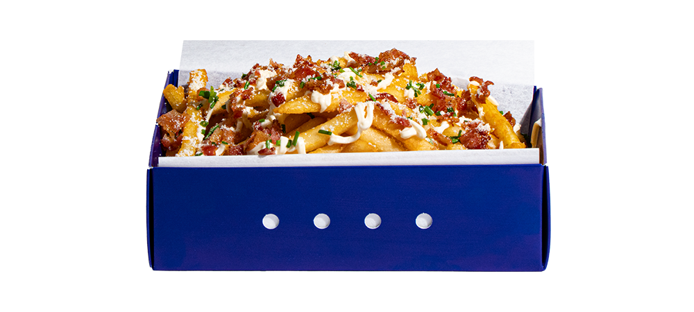 Bacon Cheese Fries